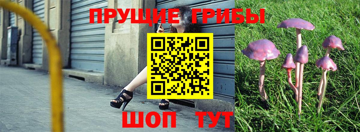 Можайск  Галлюциногенные грибы Psilocybe  купить наркоту  Вход с VPN 